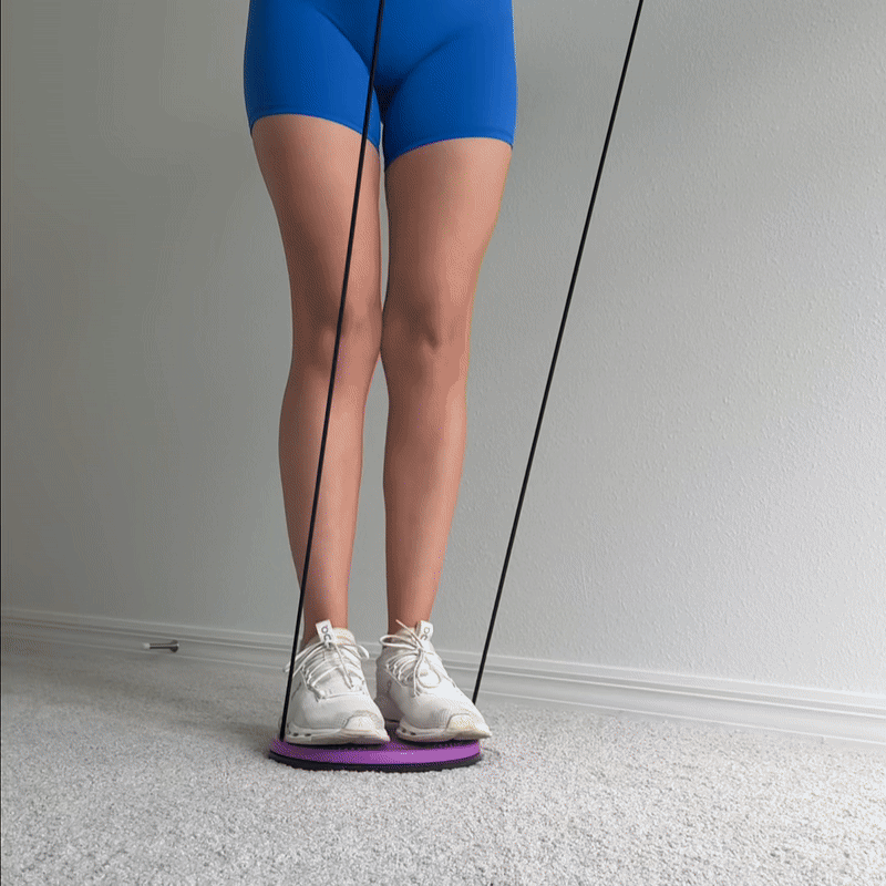 Waist Sculptor™ (3 Gifts)